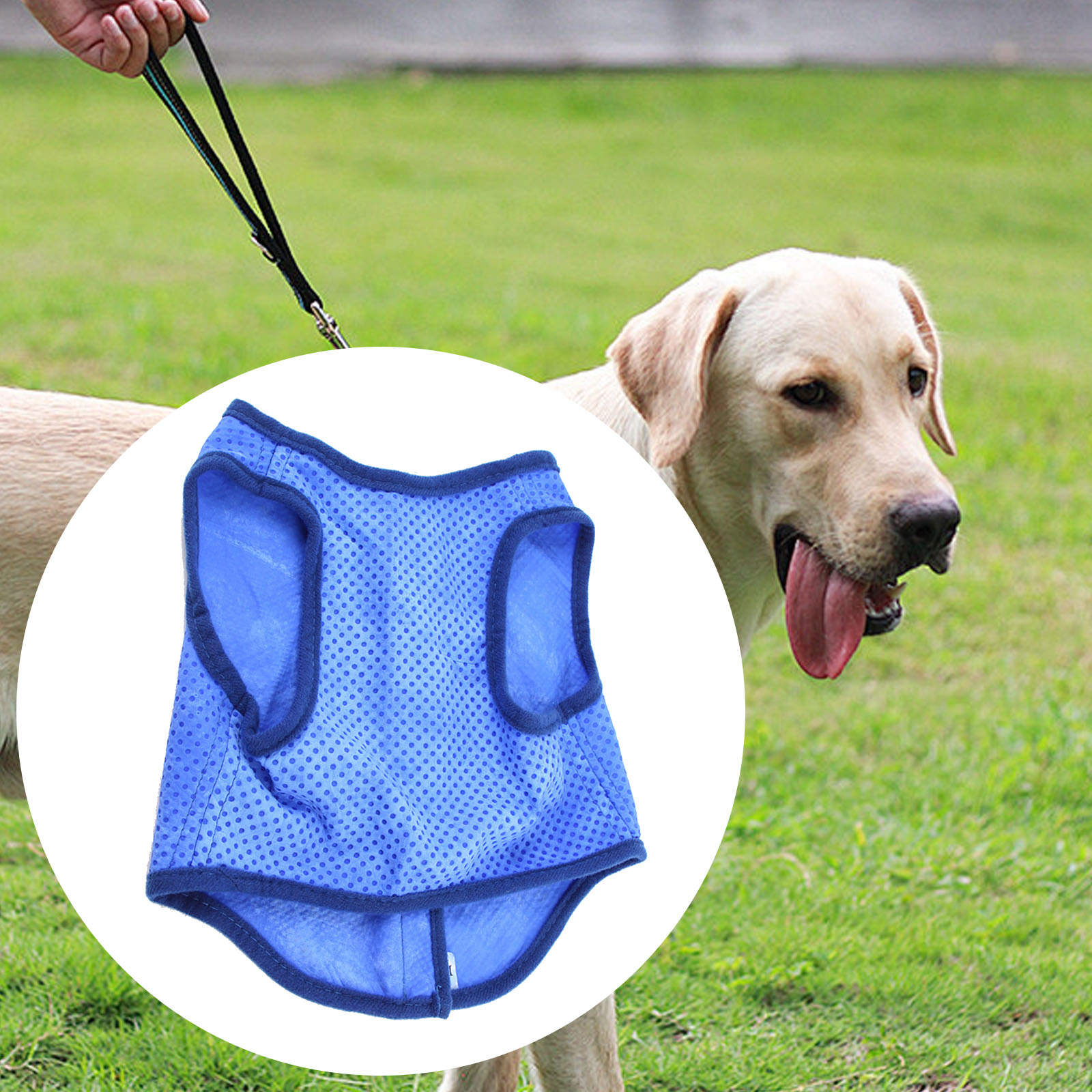 Dog Cooling Vest Breathable Su - Outdoor Sport Coat reseña y precio