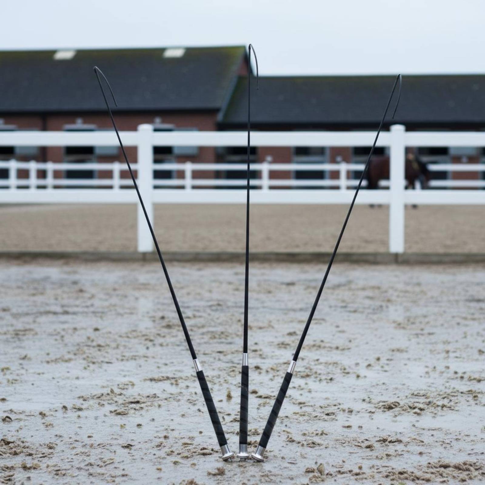 3 Pieces Dressage Training Whi - Riding Crop Dressage reseña y precio
